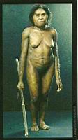 Femme de Flores, reconstituee par la plasticienne Elisabeth Daynes